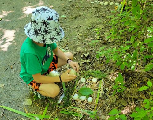 Child building a fairy house from natural matrials