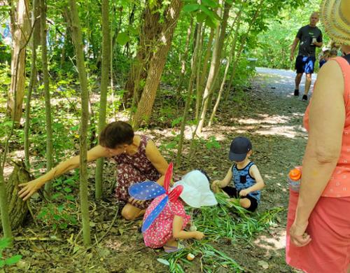 
Children building a fairy house from natural matrials